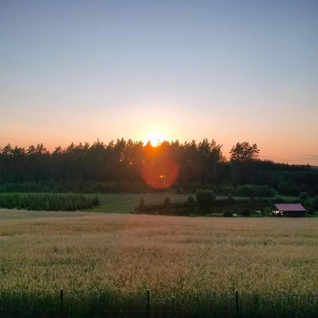 Agroturystyka U Kasi Suryty Exterior foto