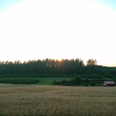 Agroturystyka U Kasi Suryty Exterior foto
