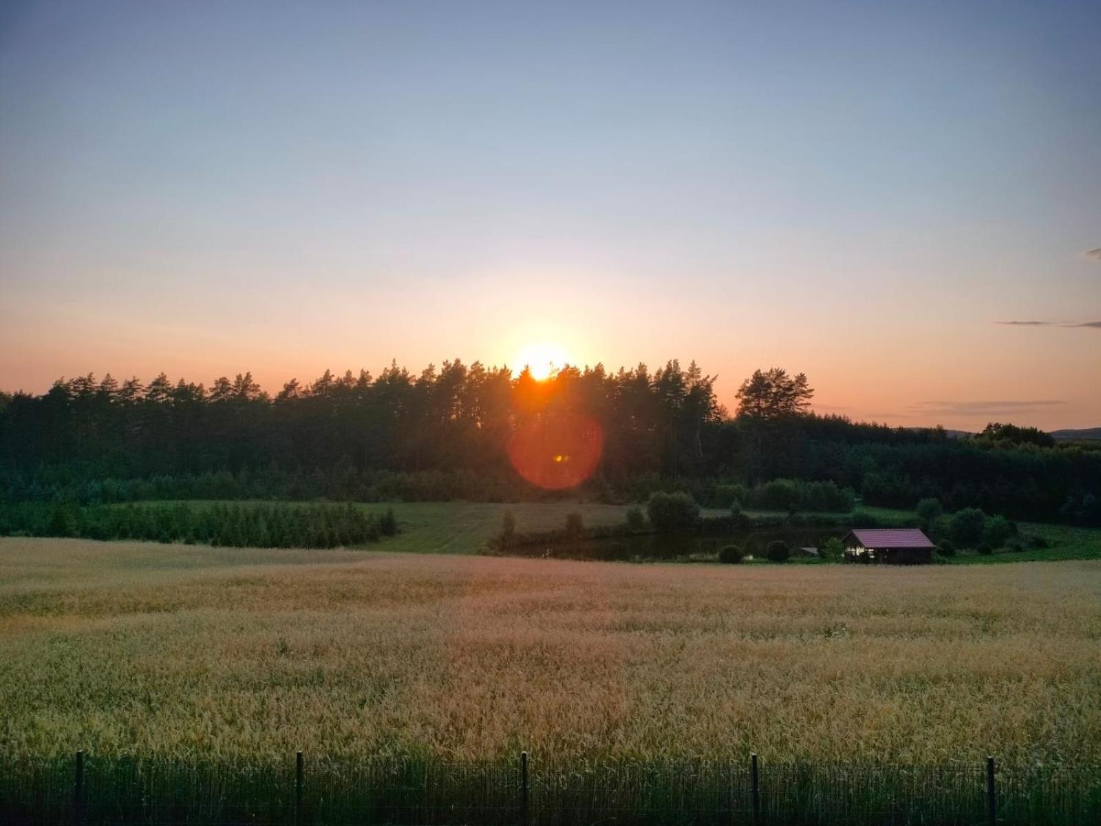 Agroturystyka U Kasi Suryty Exterior foto