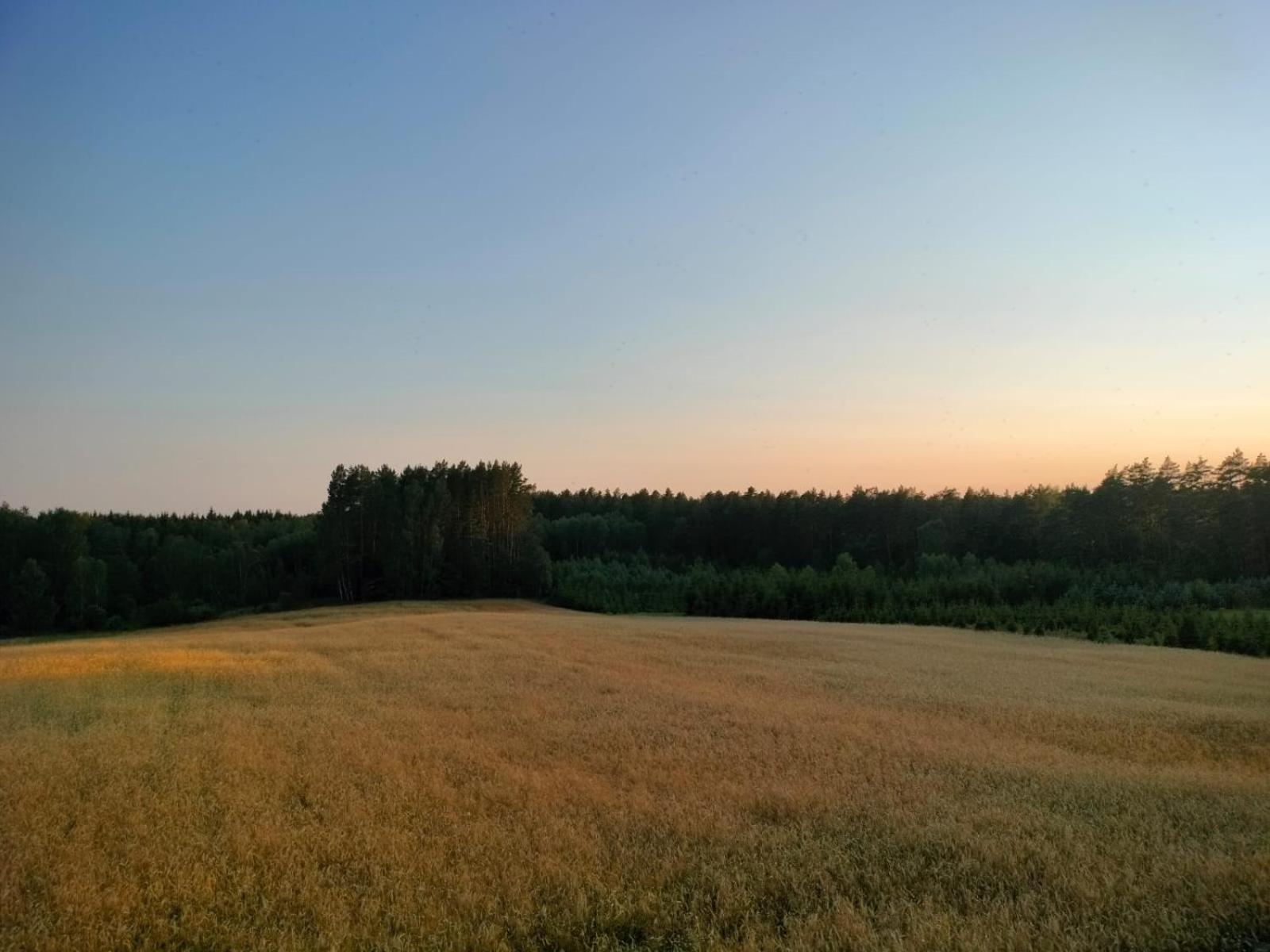 Agroturystyka U Kasi Suryty Exterior foto